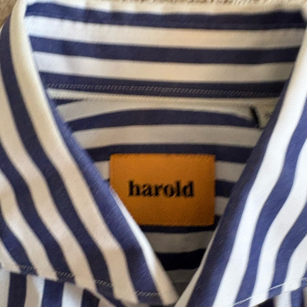 Harold Blue and White Striped Casual Button-Down Shirt